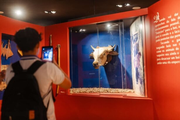 programação de junho no Dragão do Mar